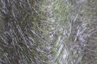 Kenardington fibreglass roof work